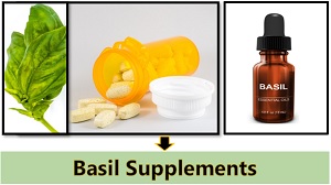 basil supplements