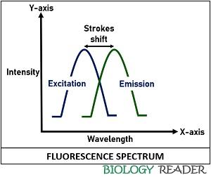 fluorescence spectrum