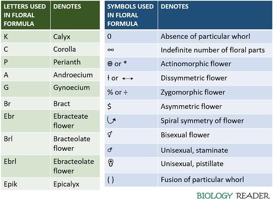 letters and symbols used in floral formula