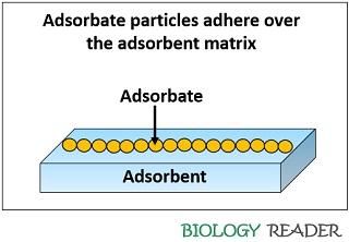 Role of adsorbent