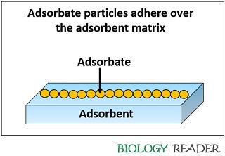 Difference Between Absorbent and Adsorbent (with Comparison Chart ...