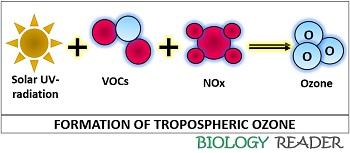 formation of tropospheric ozone