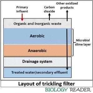 Trickling Filter Process Definition Operation Design Types trickling-filter-process-definition-operation-design-types