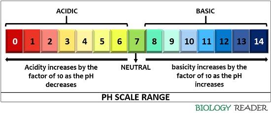 pH scale range