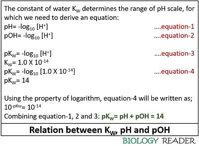 relation between Kw, pH and pOH