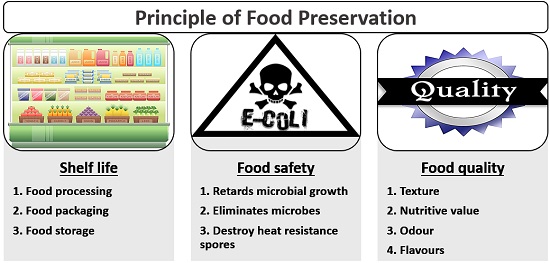 Food Preservation Techniques Definition Principle Methods 