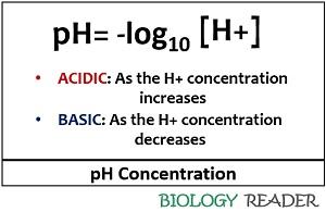 Formula of pH scale