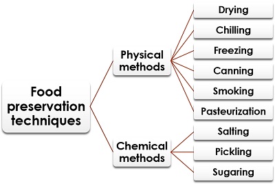 role of chemistry in food preservation