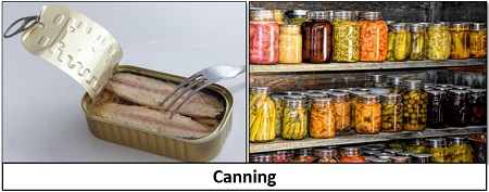 canned food