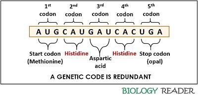 degeneracy of genetic code