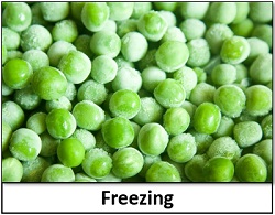 freezing food preservation