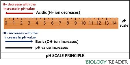 pH scale principle
