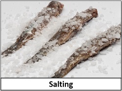 salting food preservation