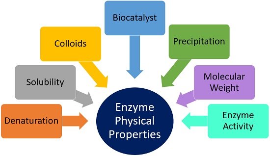 enzyme physical properties