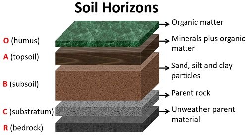 soil horizons