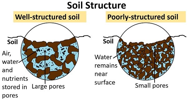 Types Of Soil Structure And Their Characteristics - Infoupdate.org