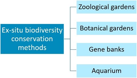 Methods of ex-situ conservation