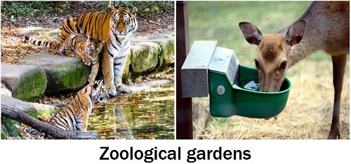 Zoological garden