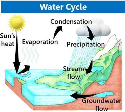 Water Cycle Diagram With Rainfall And Ocean Vector Design Illustration  Stock Illustration - Download Image Now - iStock