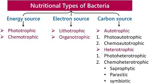 Nutritional types of bacteria