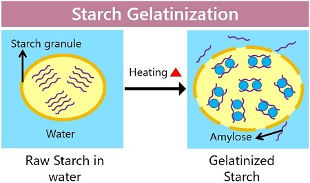 Induction of Maize Starch Gelatinization and Dissolution at Low