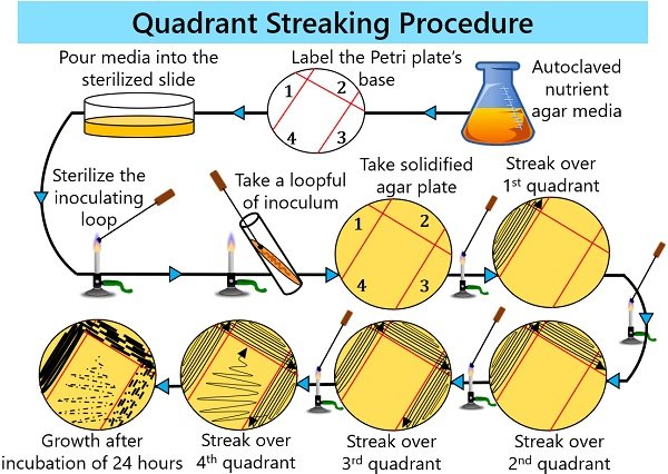 procedure of quadrant streaking method