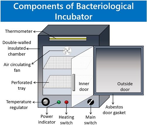Parts of bacteriological incubator