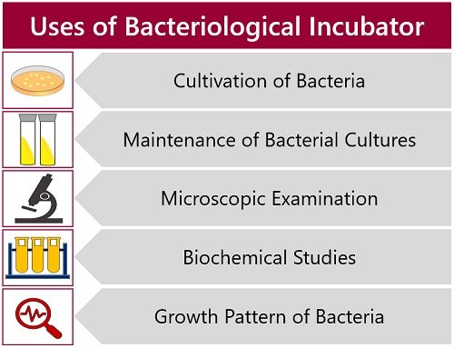 uses of bacteriological incubators