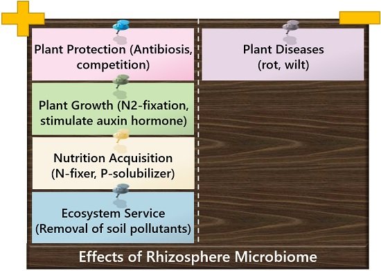 effects of rhizosphere microbiome