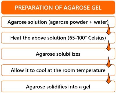 preparation of agarose gel