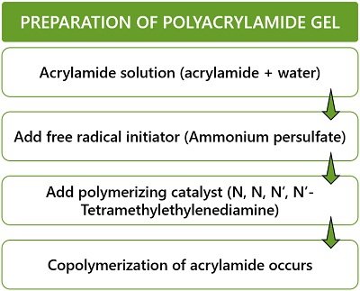 preparation of polyacrylamide gel