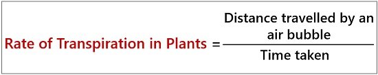 calculation of transpiration rate