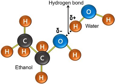 Bonding between ethanol and water