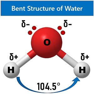 bent structure of water