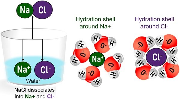 dissociation of NaCl in water