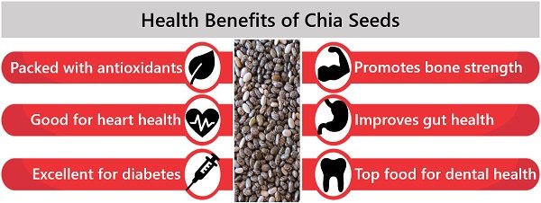 health benefits of chia seeds