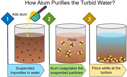 how alum purifies the turbid water