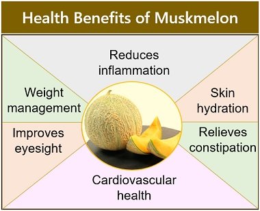health benefits of muskmelon