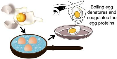 Denaturation of egg proteins