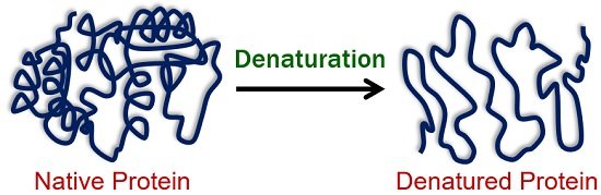 Protein denaturation