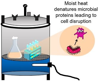disruption of microbial proteins by moist heat