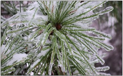 freezing rain and drizzle