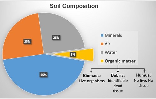 Soil organic matter