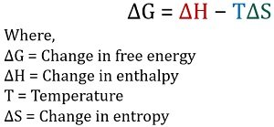 gibbs free energy equation